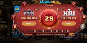 Cách chơi tài xỉu HitClub hiệu quả từ kinh nghiệm thực chiến